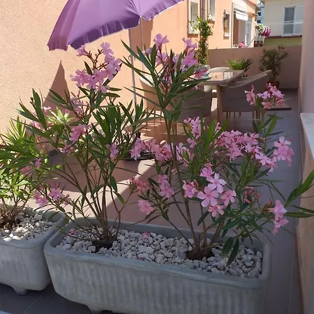 Appartement Yelena Rose West