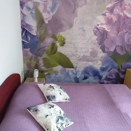 Yelena Rose West Appartement Zadar