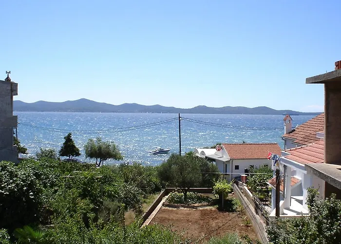 Yelena Rose West * 扎达尔