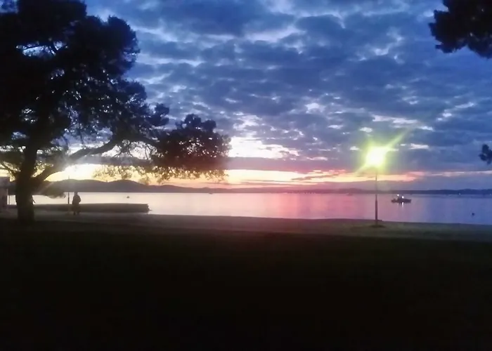 Yelena Rose West * 扎达尔