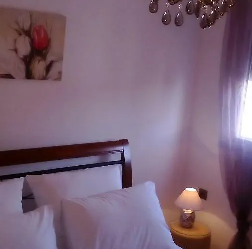 公寓 Yelena Rose West *