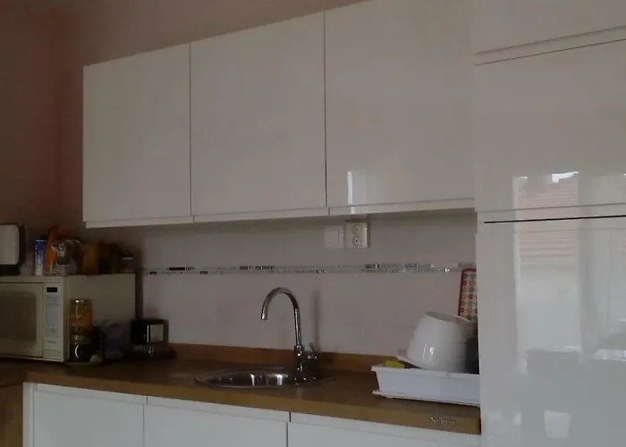 Yelena Rose West 扎达尔