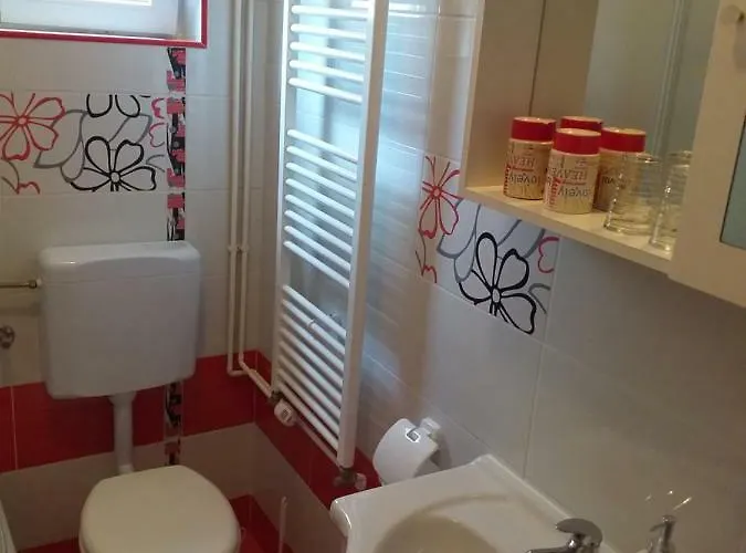 公寓 Yelena Rose West 扎达尔