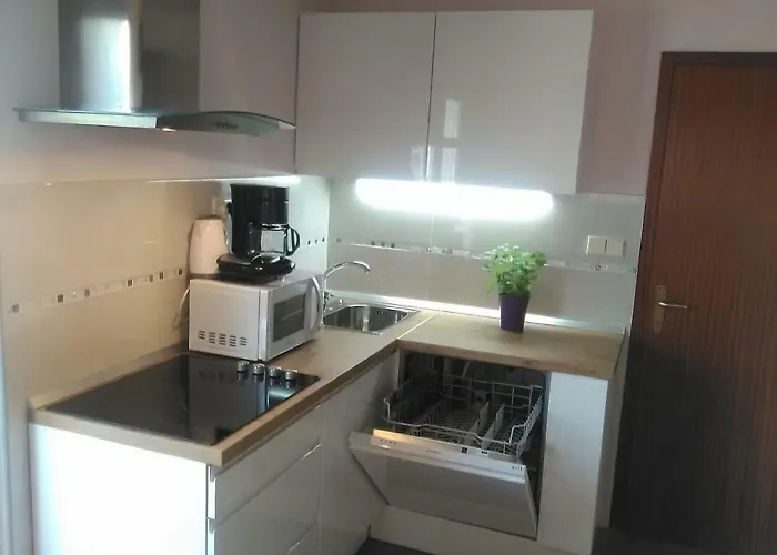 Yelena Rose West 扎达尔