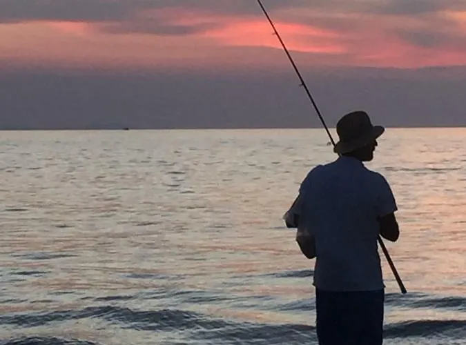 Yelena Rose West 公寓 *