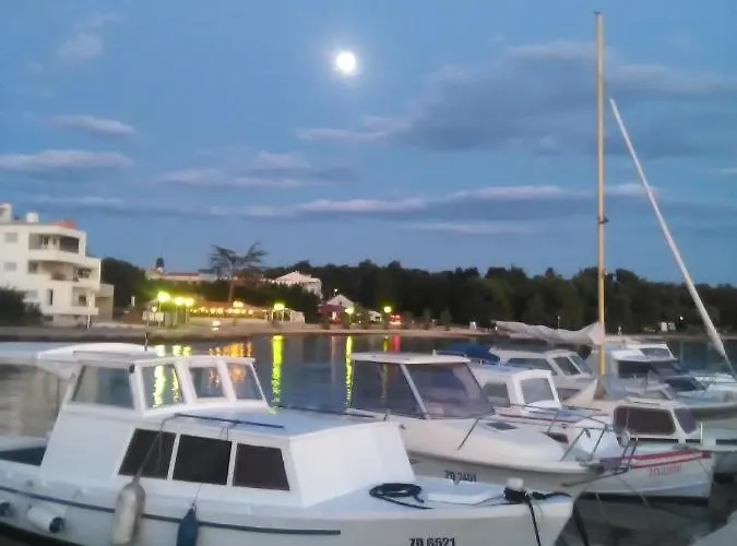 Yelena Rose West * 扎达尔